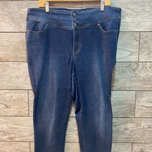 Lane Bryant Flex Magic Waistband Jeggings